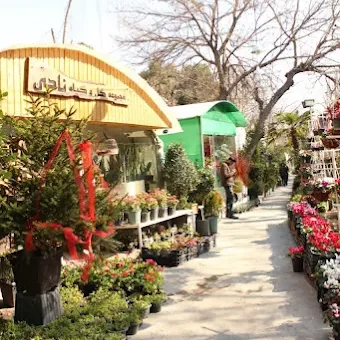 طراحی فضای سبز نادی گاردن