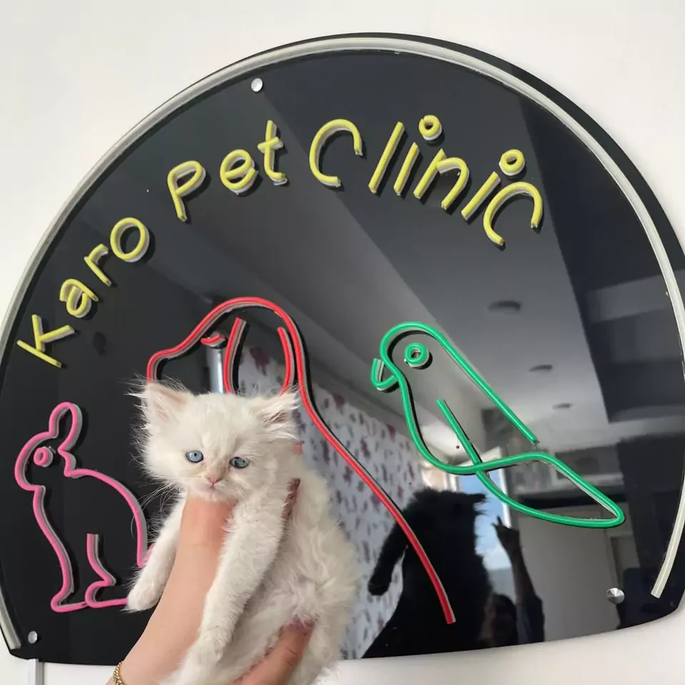 کلینیک دامپزشکی کارو