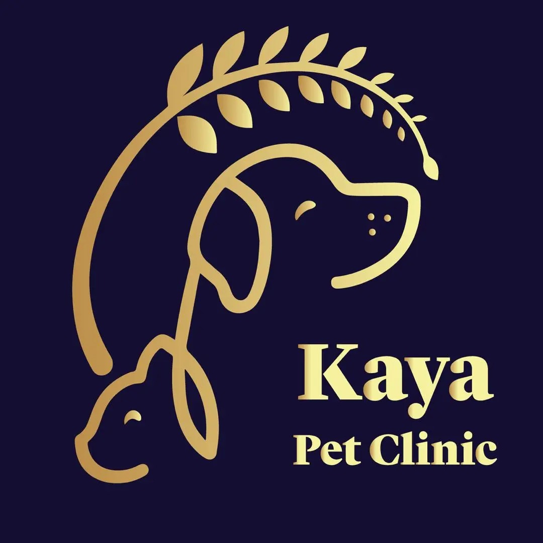 kaya pet clinic