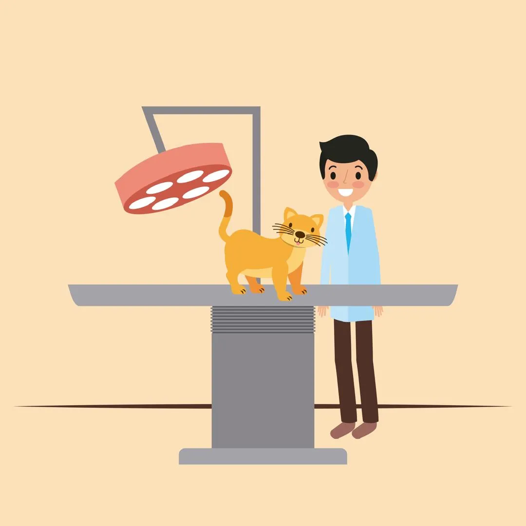جراحی و عقیم سازی حیوانات در غرب تهران