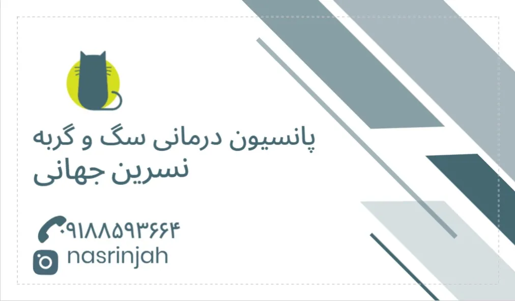 پانسیون نگهداری و درمان سگ و گربه نسرین جهانی